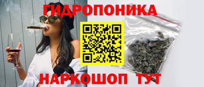 гашик Ирбит