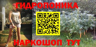 гашик Ирбит