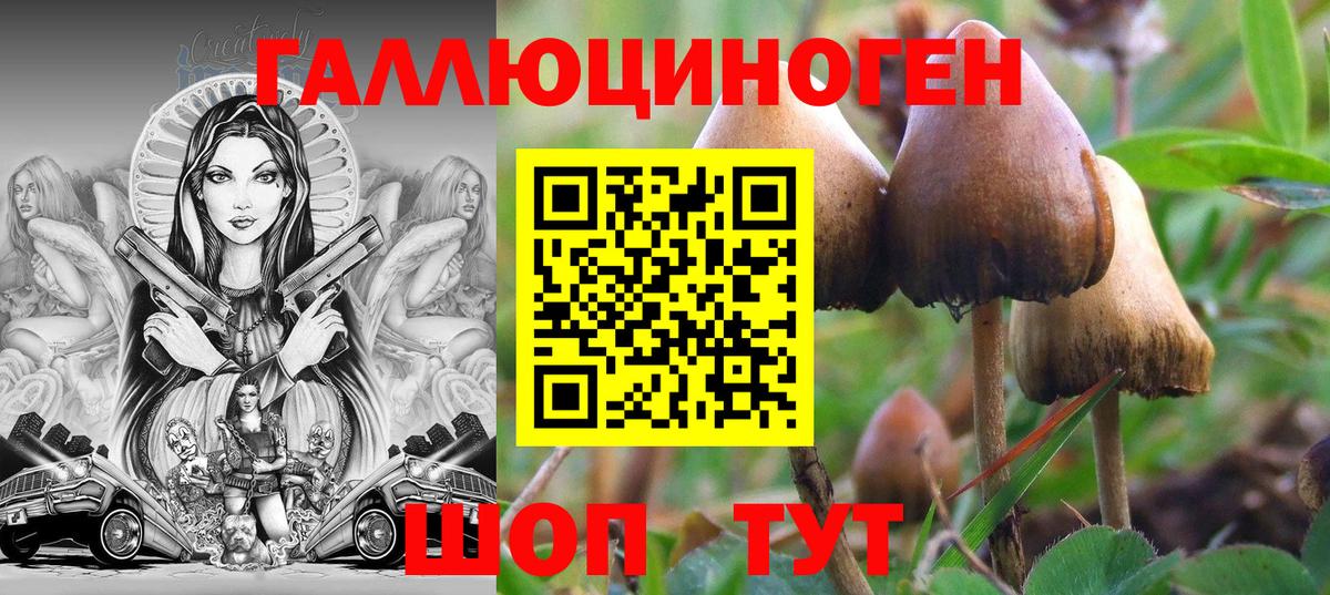 что такое   Вход с VPN  Дятьково  Псилоцибиновые грибы Psilocybe 